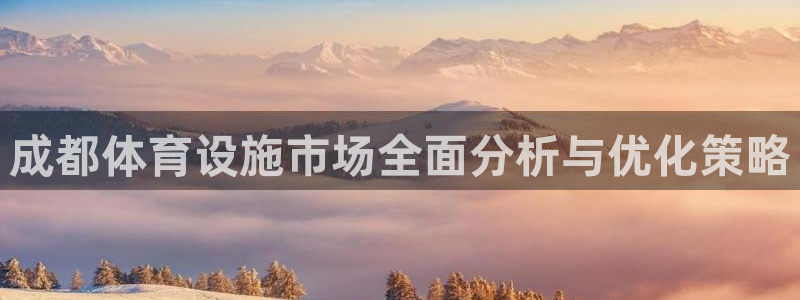 意昂4五金厂：成都体育设施市场全面分析与优化策略