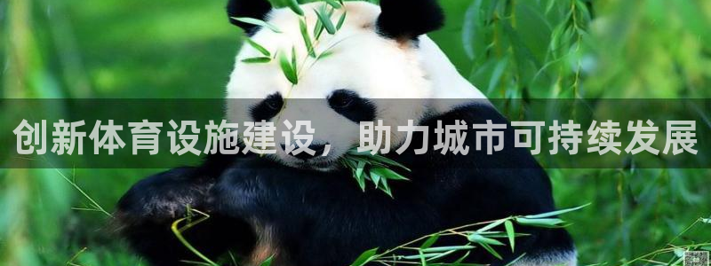 意昂4娱乐网站：创新体育设施建设，助力城市可持续发展 