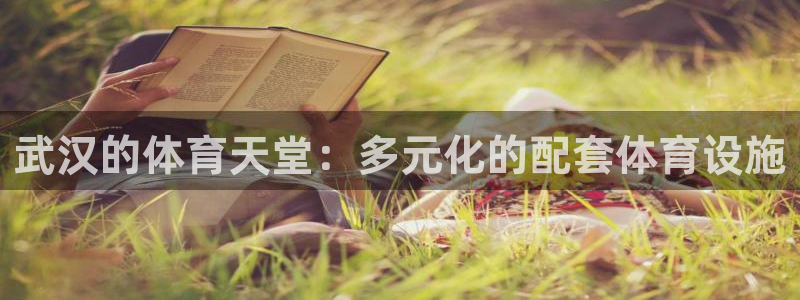 意昂体育4平台是正规平台吗：武汉的体育天堂：多元化的配套体育