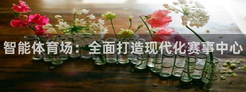 意昂体育4招商电话号码查询：智能体育场：全面打造现代