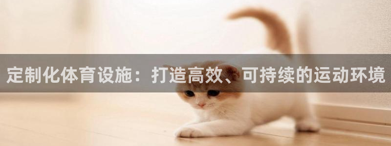 意昂体育4平台假的吗是真的吗吗：定制化体育设施：打造高效、可