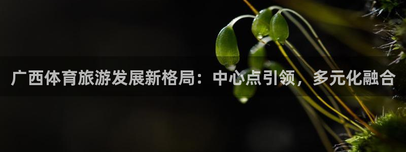 意昂4集团官网首页网址：广西体育旅游发展新格局：中心点引领，