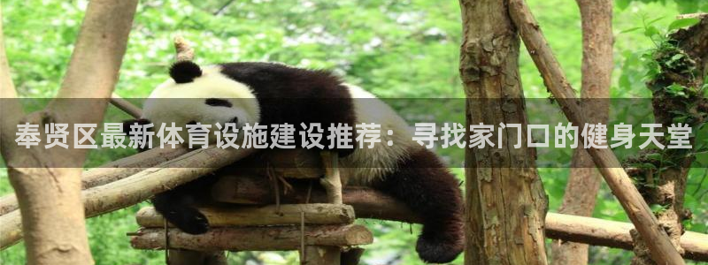 意昂体育4招商电话号码查询：奉贤区最新体育设施建设推荐：寻找