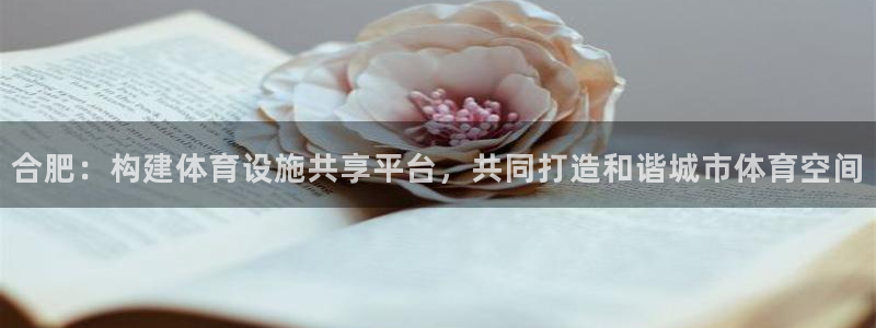 意昂4娱乐40996：合肥：构建体育设施共享平台，共同打造和