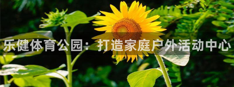 意昂体育4平台：乐健体育公园：打造家庭户外活动中心