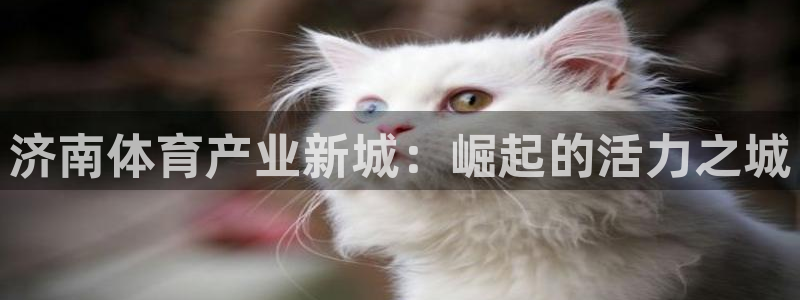 意昂体育4软件：济南体育产业新城：崛起的活力之城