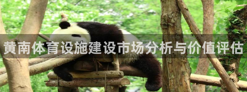 意昂4娱乐是那个系列的台子：黄南体育设施建设市场分析与价值评