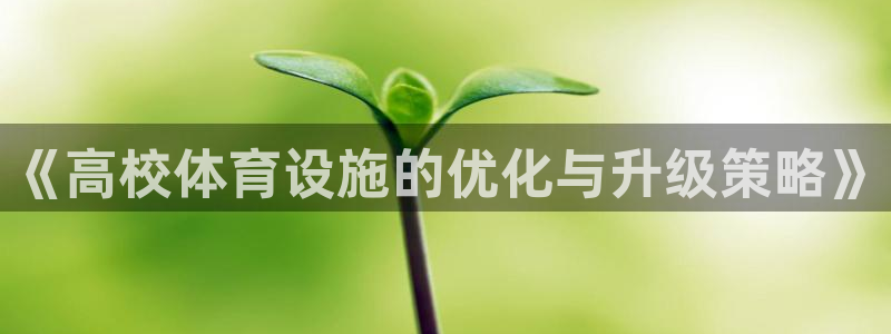 意昂4娱乐代理怎么样：《高校体育设施的优化与升级策略