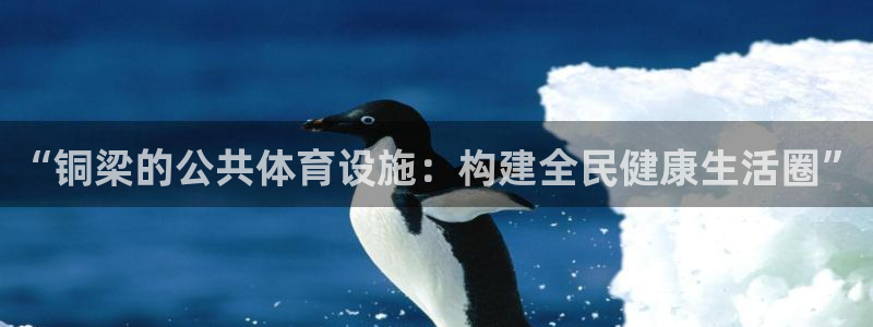 意昂体育4平台注册要钱吗是真的吗：“铜梁的公共体育设