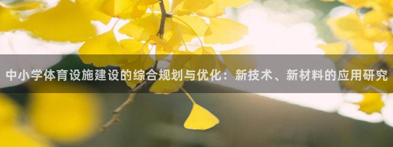 意昂4代理：中小学体育设施建设的综合规划与优化：新技