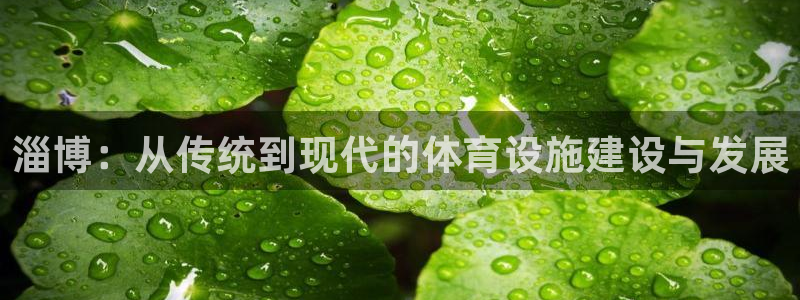 海南意昂体育4：淄博：从传统到现代的体育设施建设与发