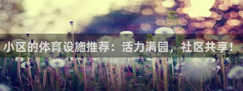 意昂4开户：小区的体育设施推荐：活力满园，社区共享！