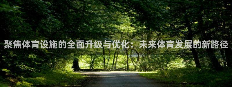意昂4集团E.ON：聚焦体育设施的全面升级与优化：未