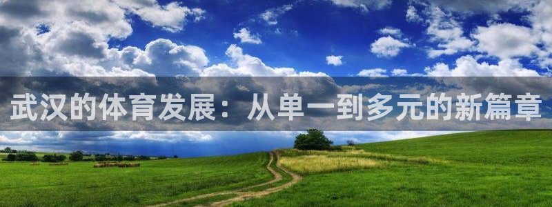 意昂4集团官网网址：武汉的体育发展：从单一到多元的新