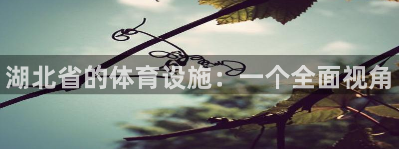 意昂4娱乐平台：湖北省的体育设施：一个全面视角