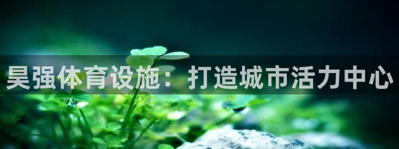 意昂集团官网：昊强体育设施：打造城市活力中心