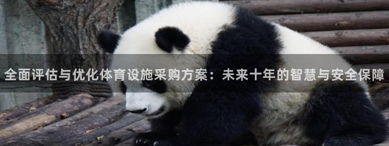 意昂4集团简介：全面评估与优化体育设施采购方案：未来