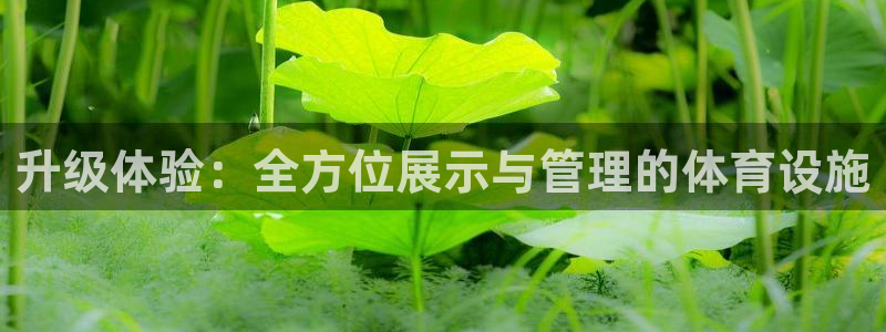 意昂4娱乐平台：升级体验：全方位展示与管理的体育设施