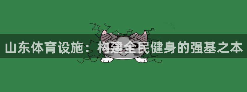 意昂4五金厂：山东体育设施：构建全民健身的强基之本