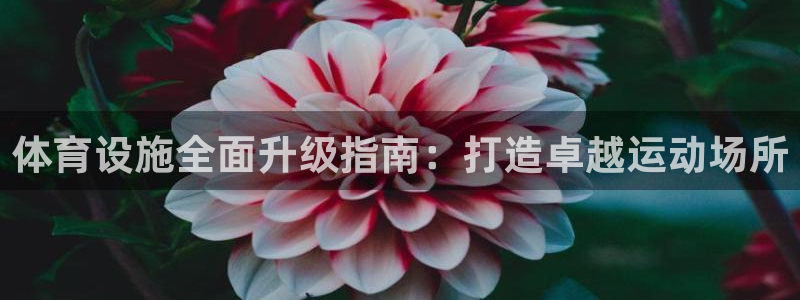 德国意昂4集团：体育设施全面升级指南：打造卓越运动场
