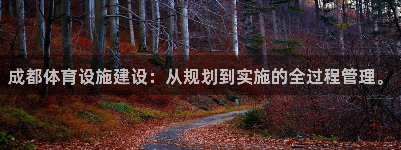 意昂4官方：成都体育设施建设：从规划到实施的全过程管理。