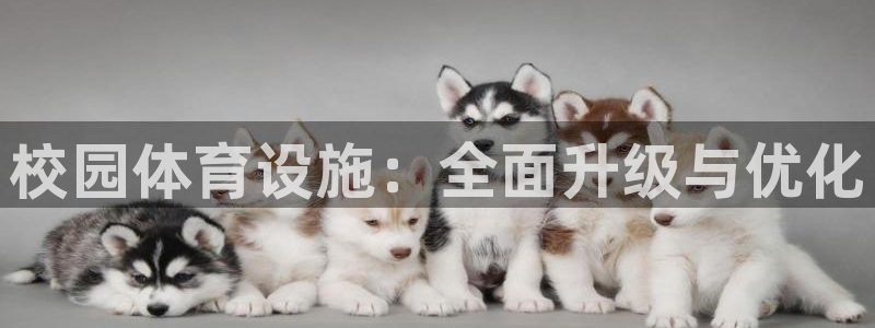意昂体育4平台是正规平台吗安全吗：校园体育设施：全面升级与优
