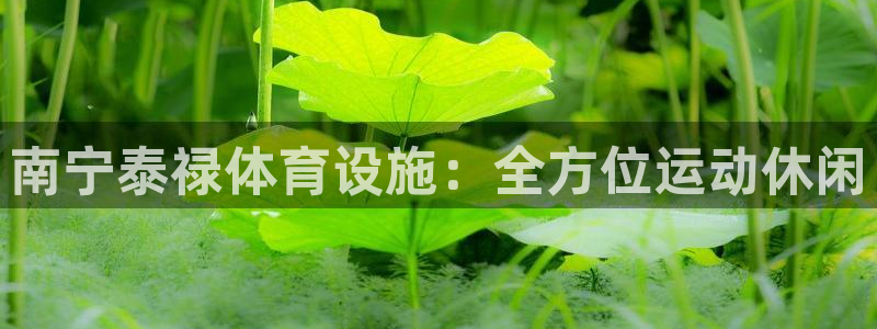 意昂4开户：南宁泰禄体育设施：全方位运动休闲