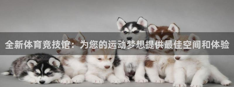 意昂4新能源：全新体育竞技馆：为您的运动梦想提供最佳