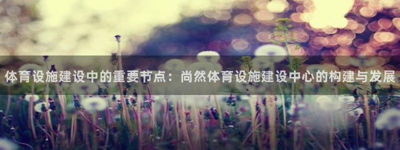 意昂体育4招商电话号码查询：体育设施建设中的重要节点