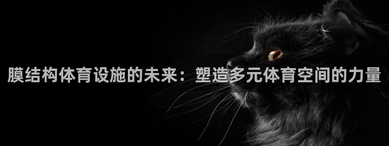 意昂4集团官网首页网址：膜结构体育设施的未来：塑造多