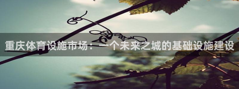 意昂体育4招商电话号码是多少
