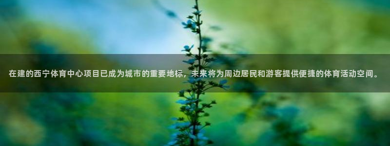 意昂4集团E.ON：在建的西宁体育中心项目已成为城市