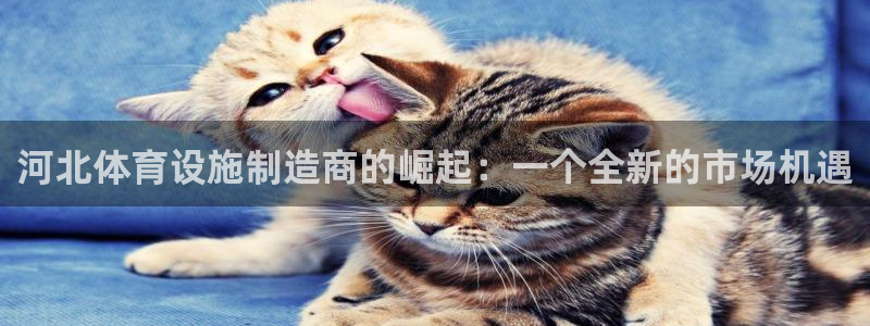 意昂体育4平台假的吗是真的吗吗