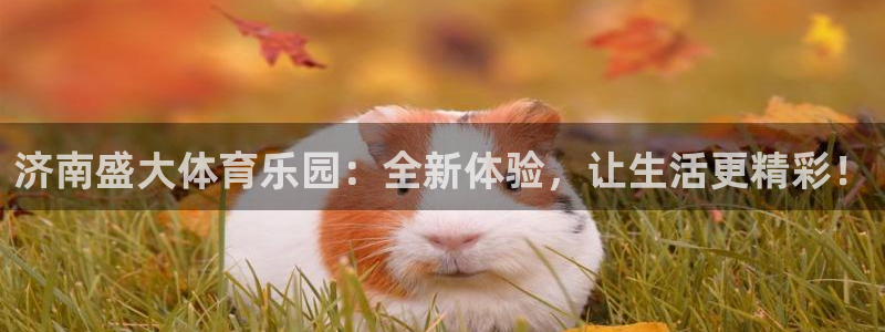 意昂体育4：济南盛大体育乐园：全新体验，让生活更精彩