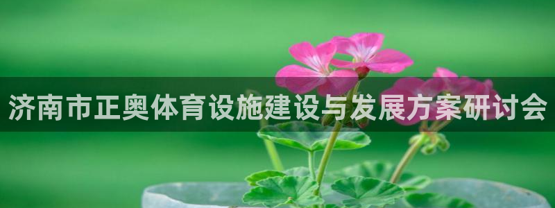 意昂4官方：济南市正奥体育设施建设与发展方案研讨会