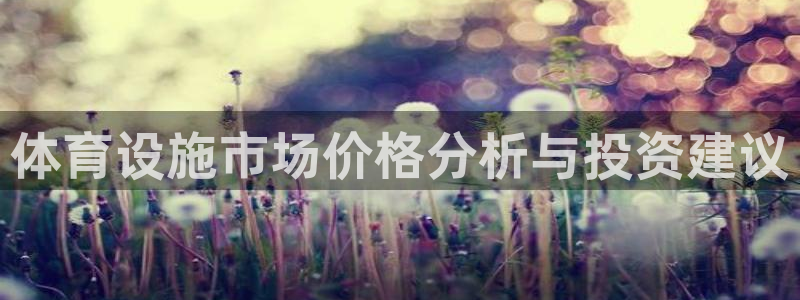 意昂4代理：体育设施市场价格分析与投资建议