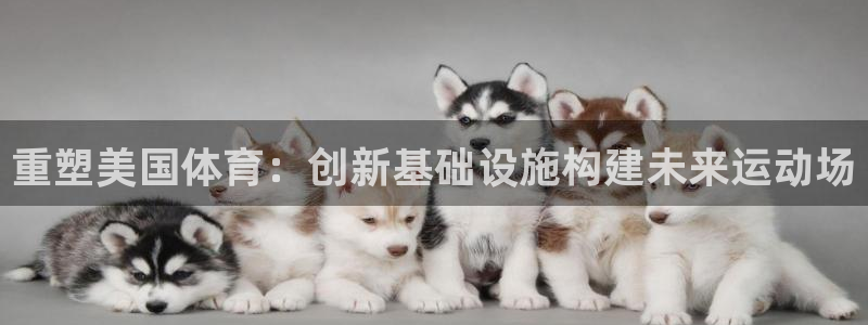 意昂体育4平台：重塑美国体育：创新基础设施构建未来运