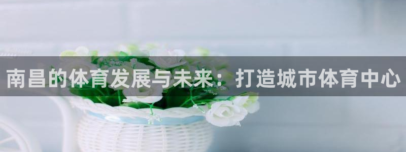 意昂4集团E.ON：南昌的体育发展与未来：打造城市体