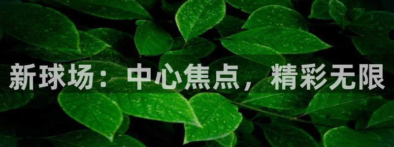 意昂体育4开户：新球场：中心焦点，精彩无限