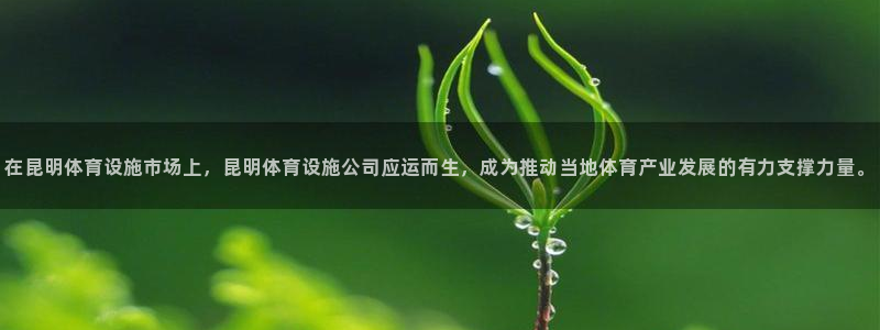 意昂4集团官网首页网址：在昆明体育设施市场上，昆明体
