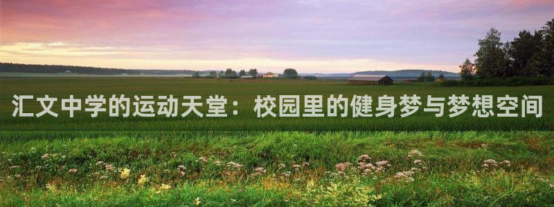 意昂4五金厂：汇文中学的运动天堂：校园里的健身梦与梦