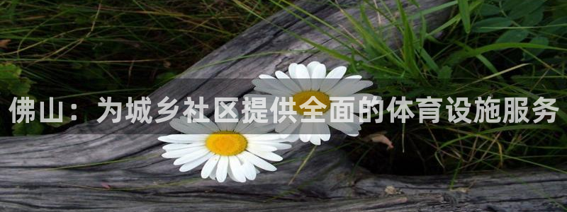 意昂体育4招商电话是多少：佛山：为城乡社区提供全面的体育设施