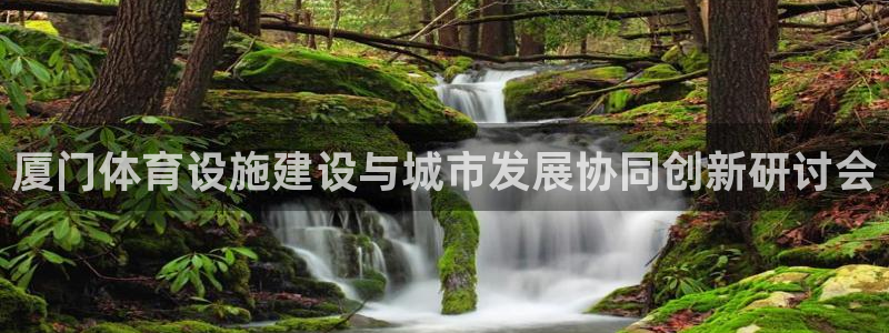 意昂体育4招商：厦门体育设施建设与城市发展协同创新研讨会