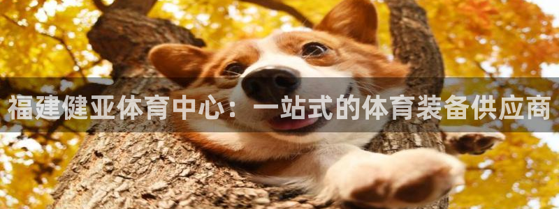 意昂平台体育：福建健亚体育中心：一站式的体育装备供应商