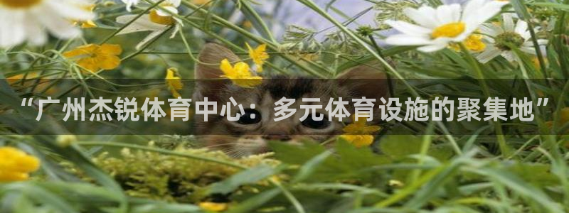 意昂体育4平台注册